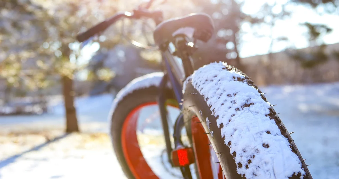 fat tire electric bike