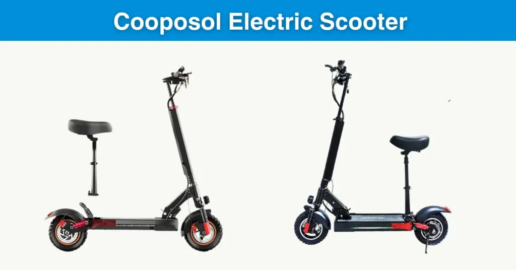 electric scooter with seat​